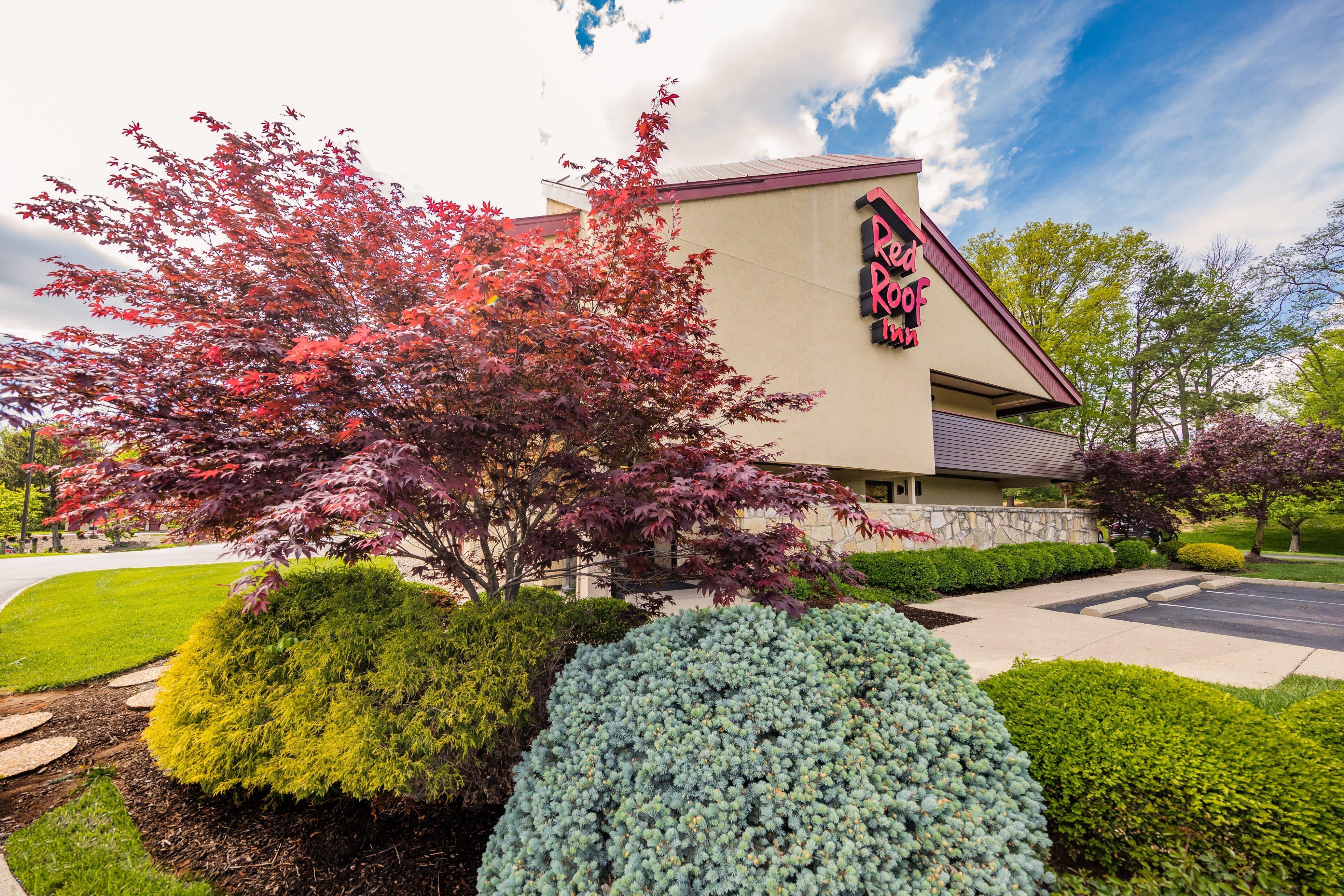 Red Roof Inn Cincinnati Northeast - Blue Ash Dış mekan fotoğraf
