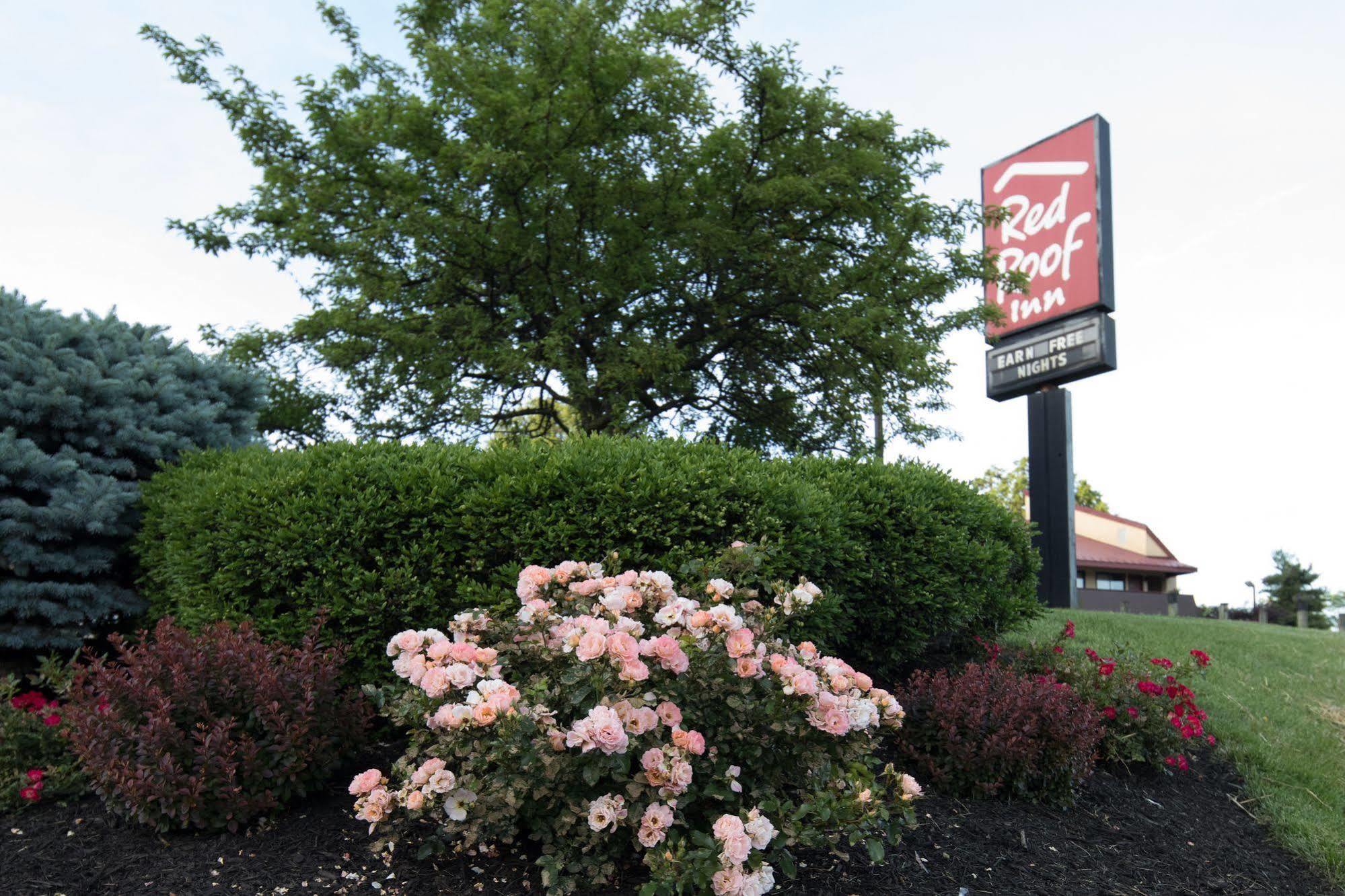 Red Roof Inn Cincinnati Northeast - Blue Ash Dış mekan fotoğraf